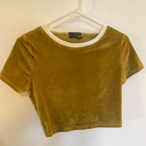 Urban Outfitters Olive Velvet Crop Top